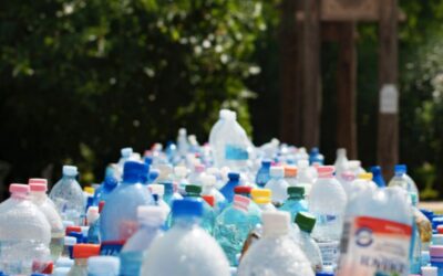 Reduce, Reuse, Recycle in the Garden